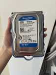 Жесткий диск Western Digital Blue 1TB 64MB 3.5" (WD10EZEX)