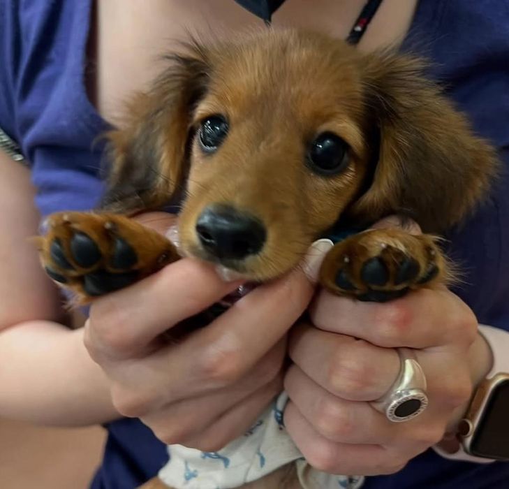 Дитина з хорошим люблячим характером.