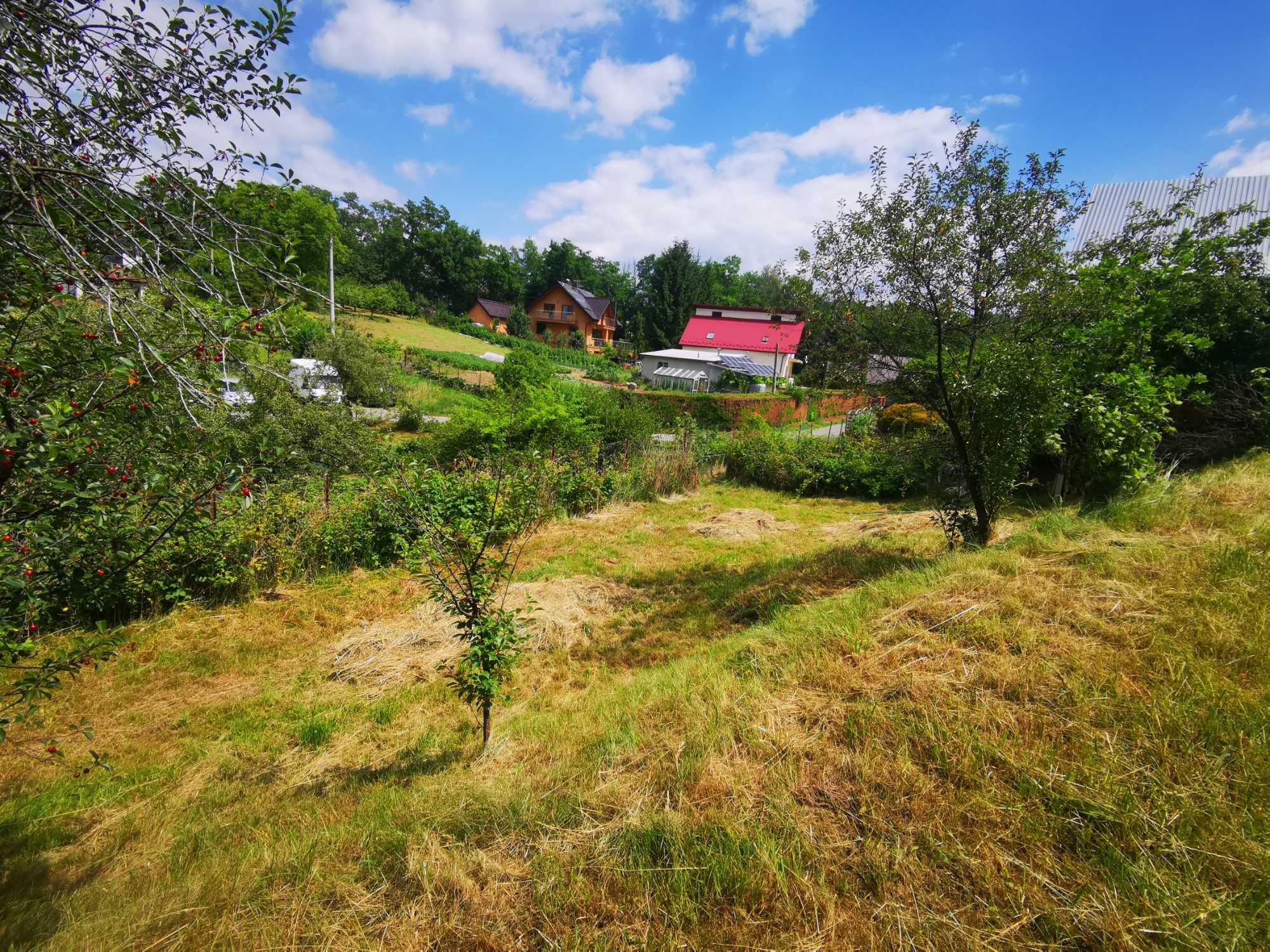 Ogródek, działka ROD, Zabełcze - Góra Lotnika