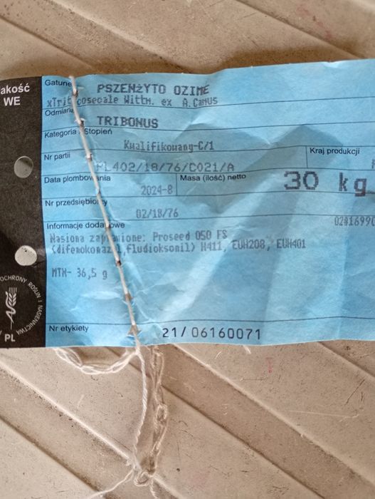 Pszenżyto tribonus i pszenica bilans rok po centrali
