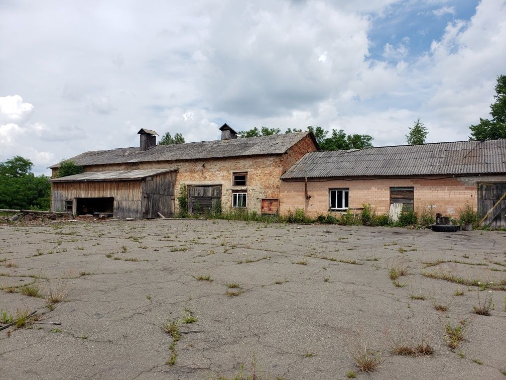 Продається виробниче приміщення  с. Серби