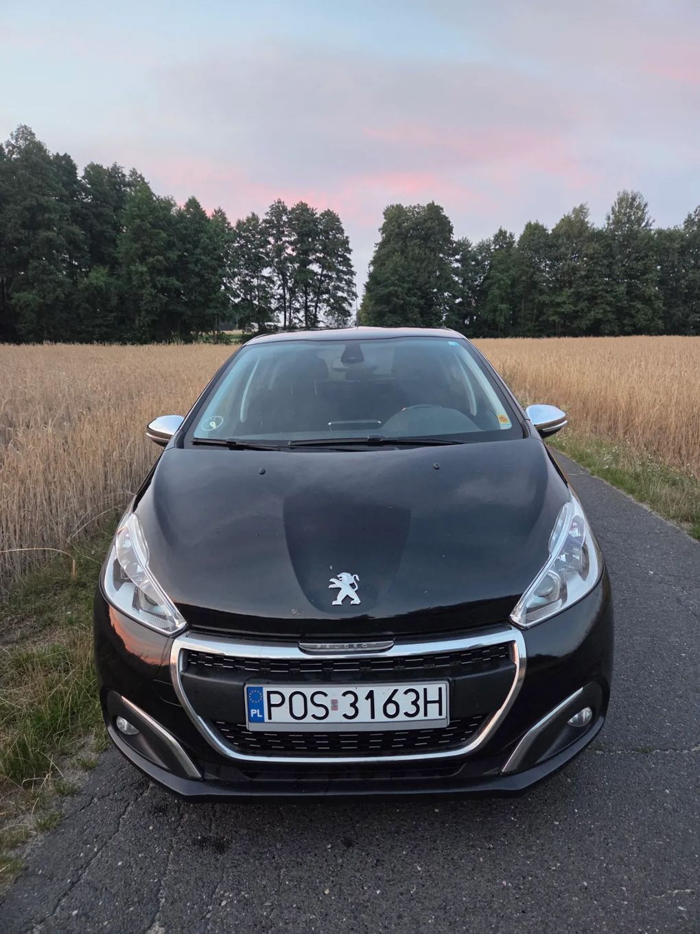 Peugeot 208 Peugeot 208 1.6 blue hdi