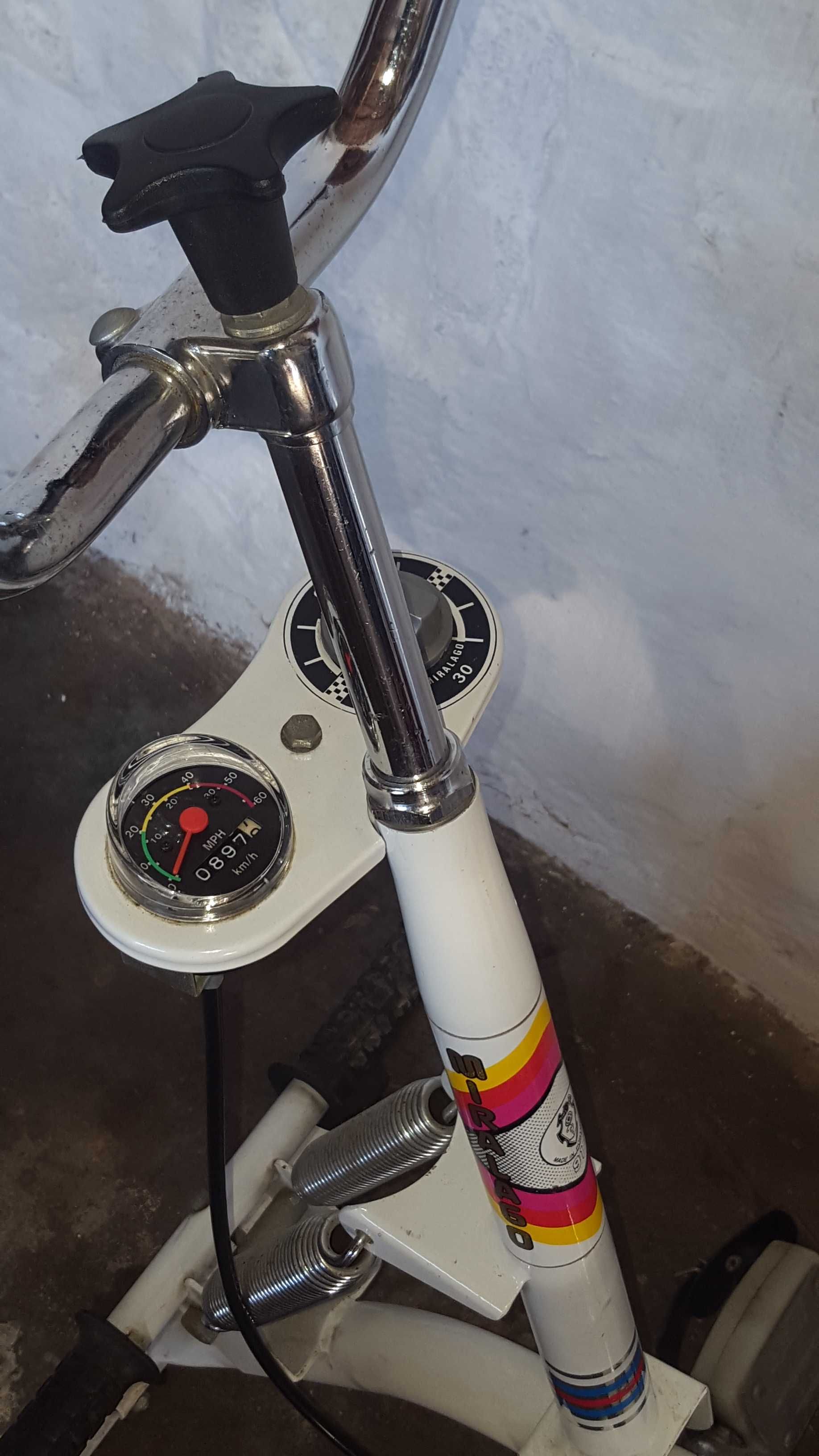 Bicicleta Estática Vintage - Miralago