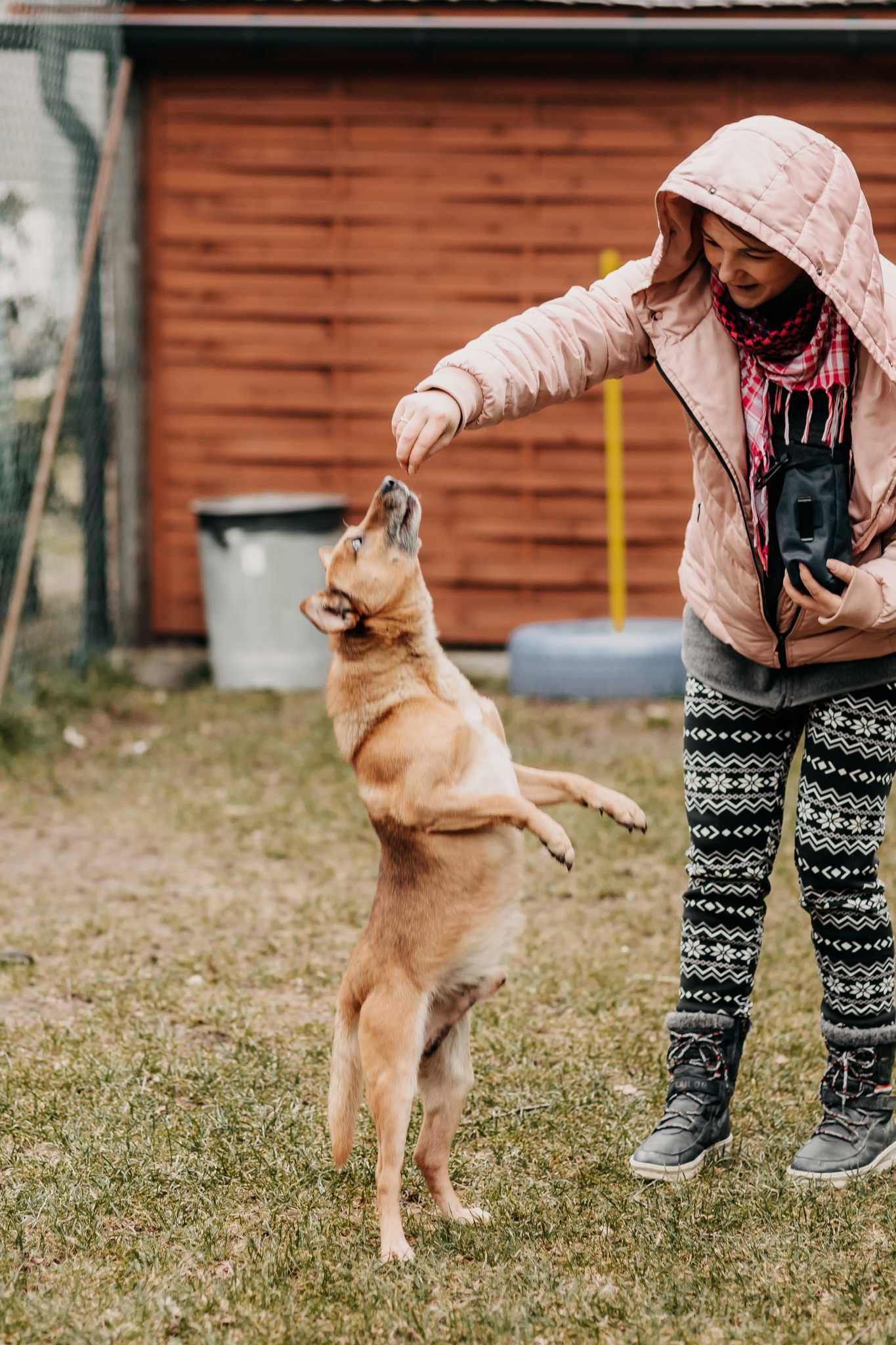 12-kg Kajtek szuka domu na zawsze!