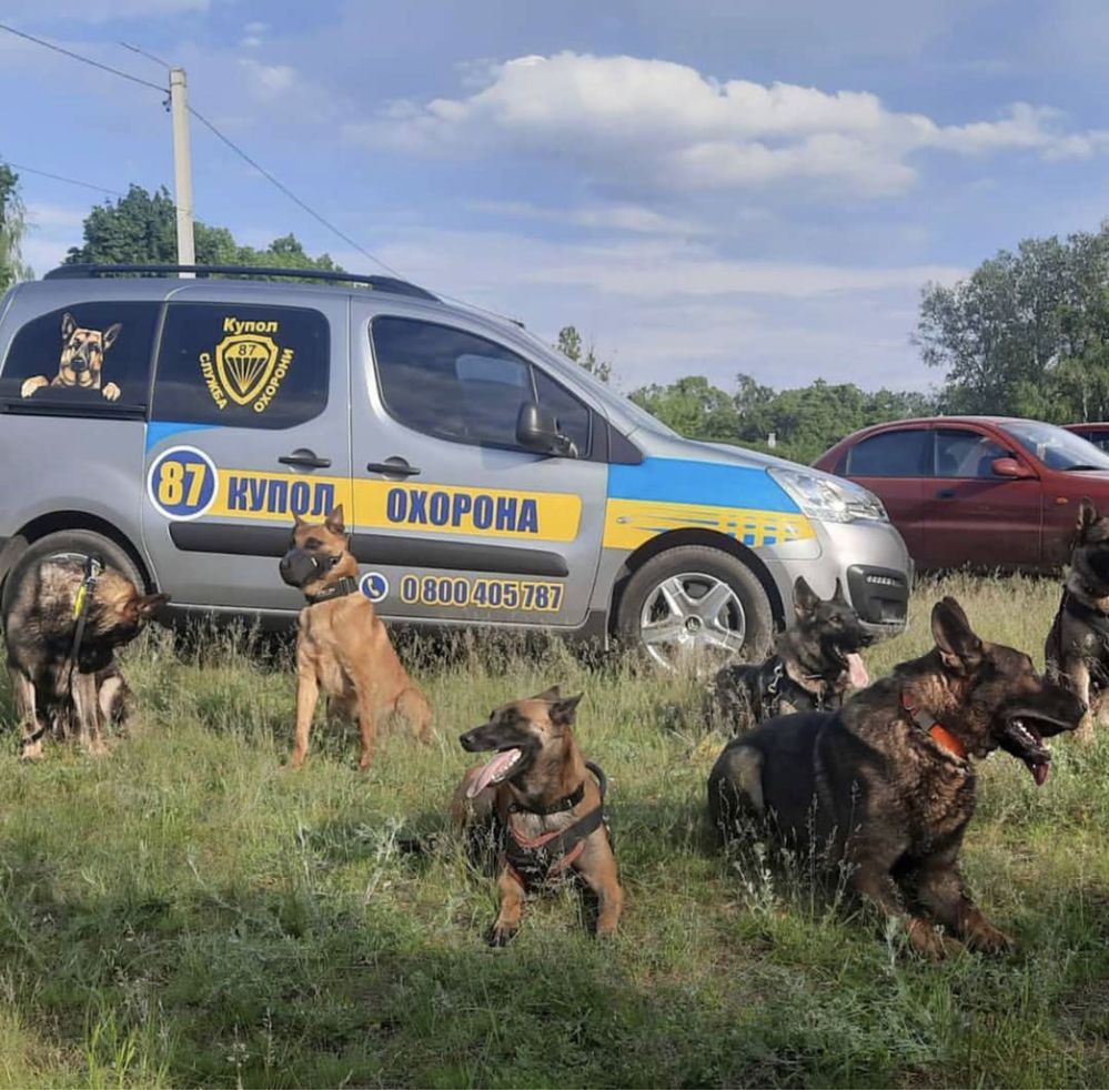 Перетримка для собак (Повний пансіон )