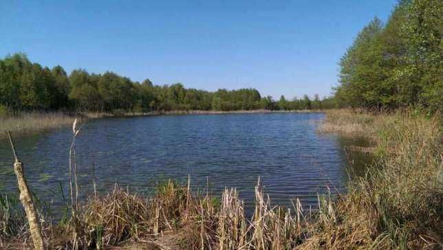 CZTERY STAWY- agroturystyka  WAKACJE  DOMEK ,NOCLEGI wędkowanie