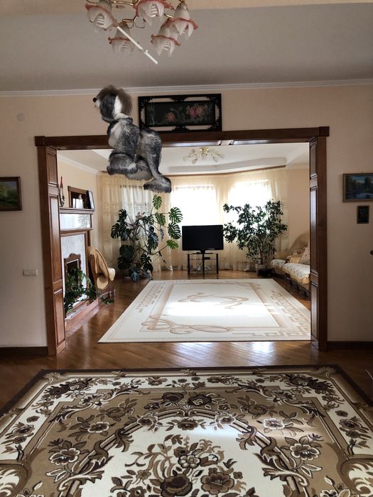 Продаж будинку в Станишівці