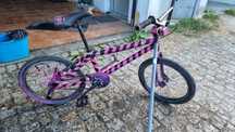 Bmx costumizada.