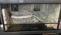 Terrarium Repti Zoo