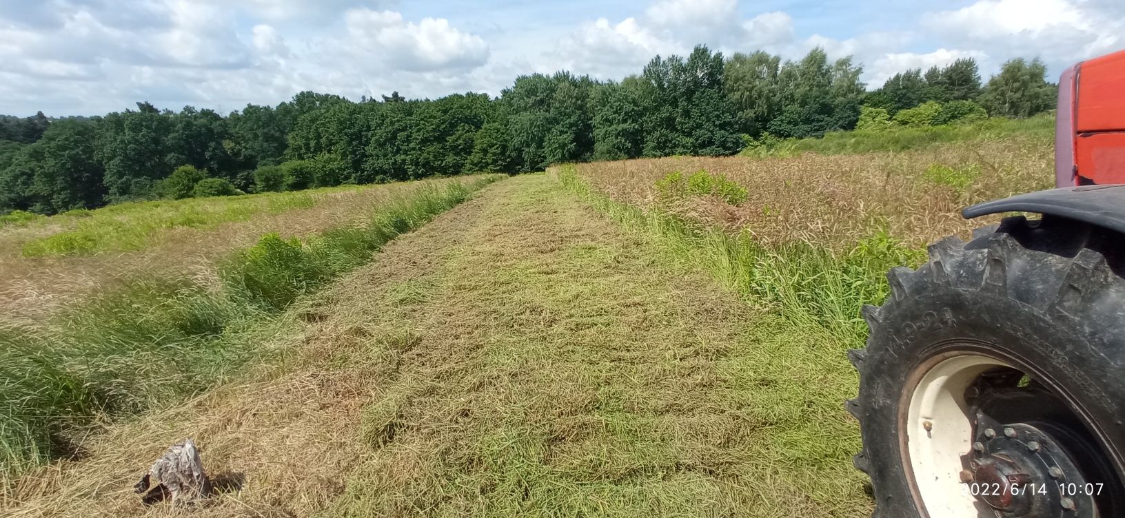 Koszenie łąk nieużytków trawy kosiarką bijakową