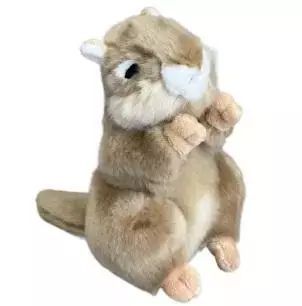 Świstak 20cm. Dubi