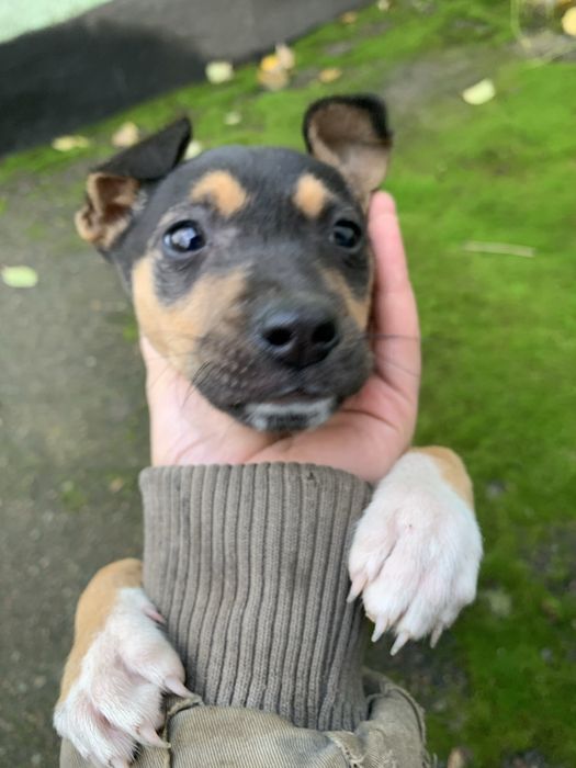 Віддам вагон енергії в добрі рукі