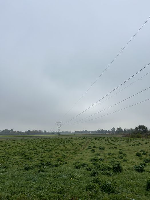 Działka na sprzedaż w miejscowości Makowiec