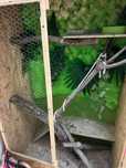 Terrario (aceito proposta) para desocupar