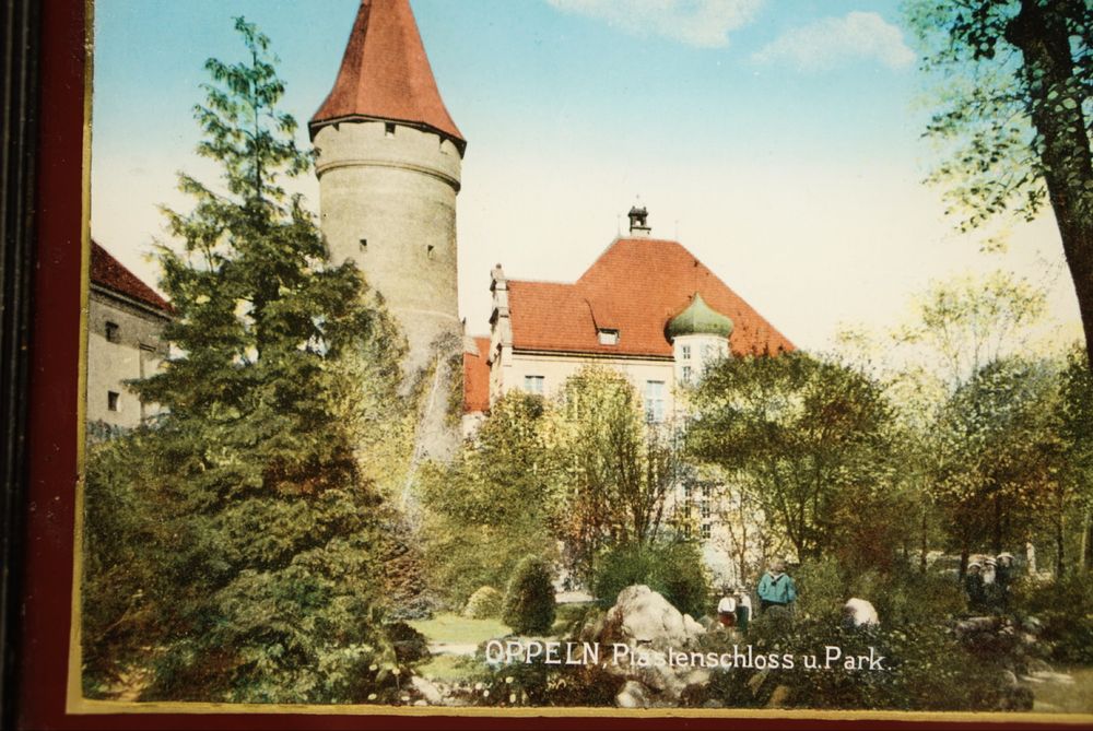 Unikat Oppeln fotolitografia Opole pocztówka widok chromolitografia