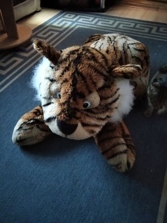 Тигр большой красивый