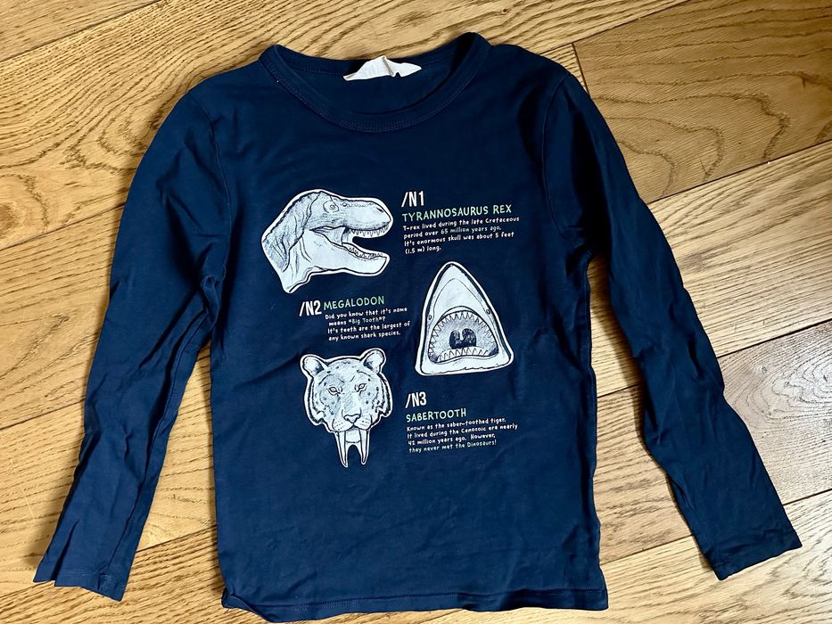 Bluzka 122/128 H&M dinozaury bdb