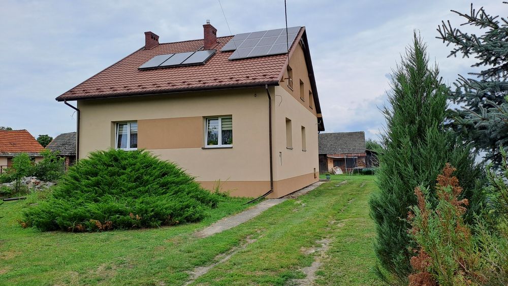 Elewacje, Docieplenia Budynków, Termomodernizacja