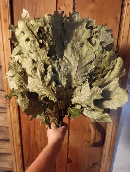 Якісні віники для бані