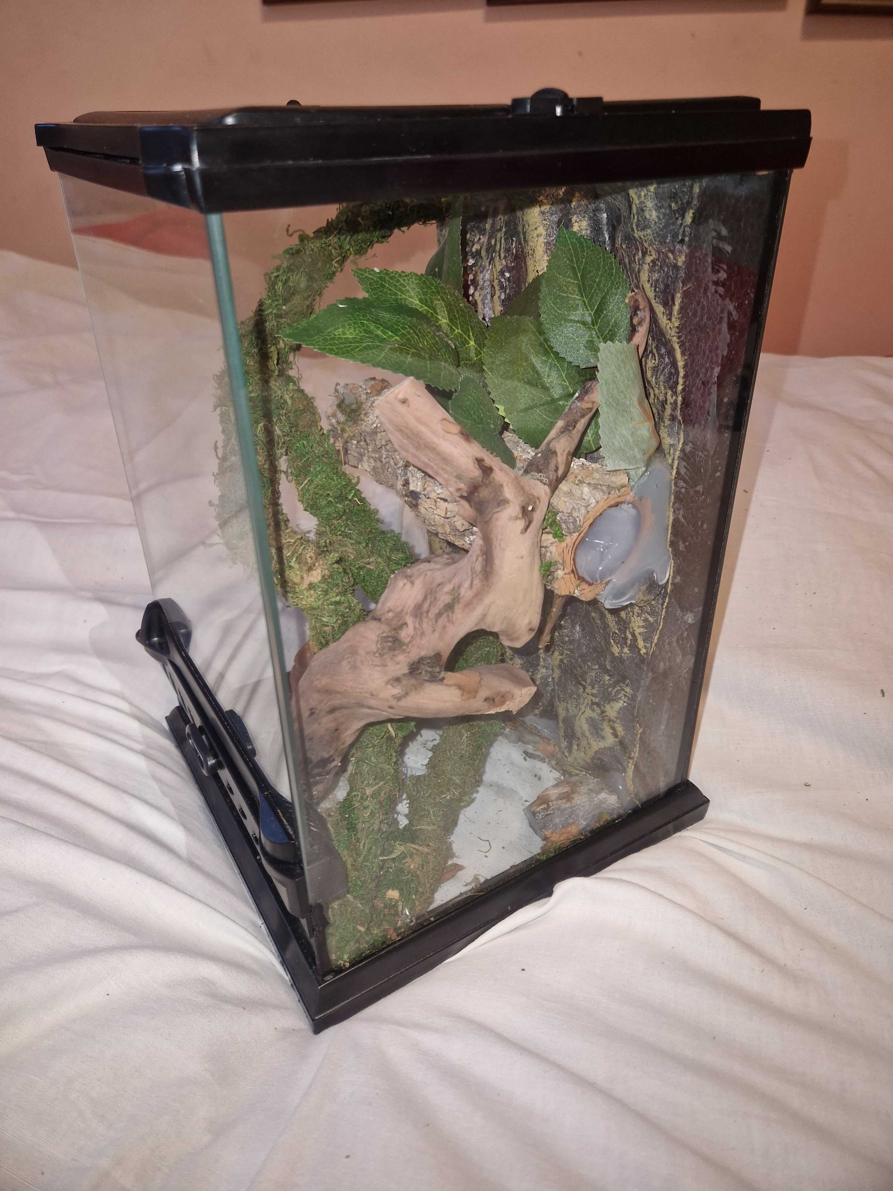 NOWE EXO-TERRA Terrarium szklane NANO TALL 20X20X30 cm
