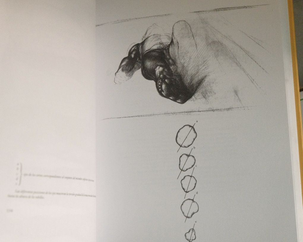 Anatomía artística del cuerpo humano, Jeno Barcsay