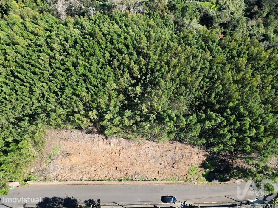 Terreno em Caniço de 1490,00 m2