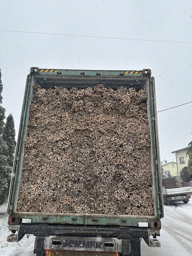 Tyczka bambusowa 20/22 210 tyczka sadownicza bambusowa