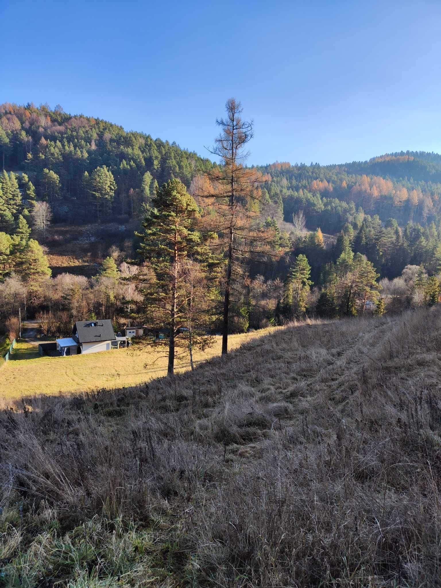 Domek do wynajęcia- ruska bania z jacuzzi. Na odludziu z kominkiem.