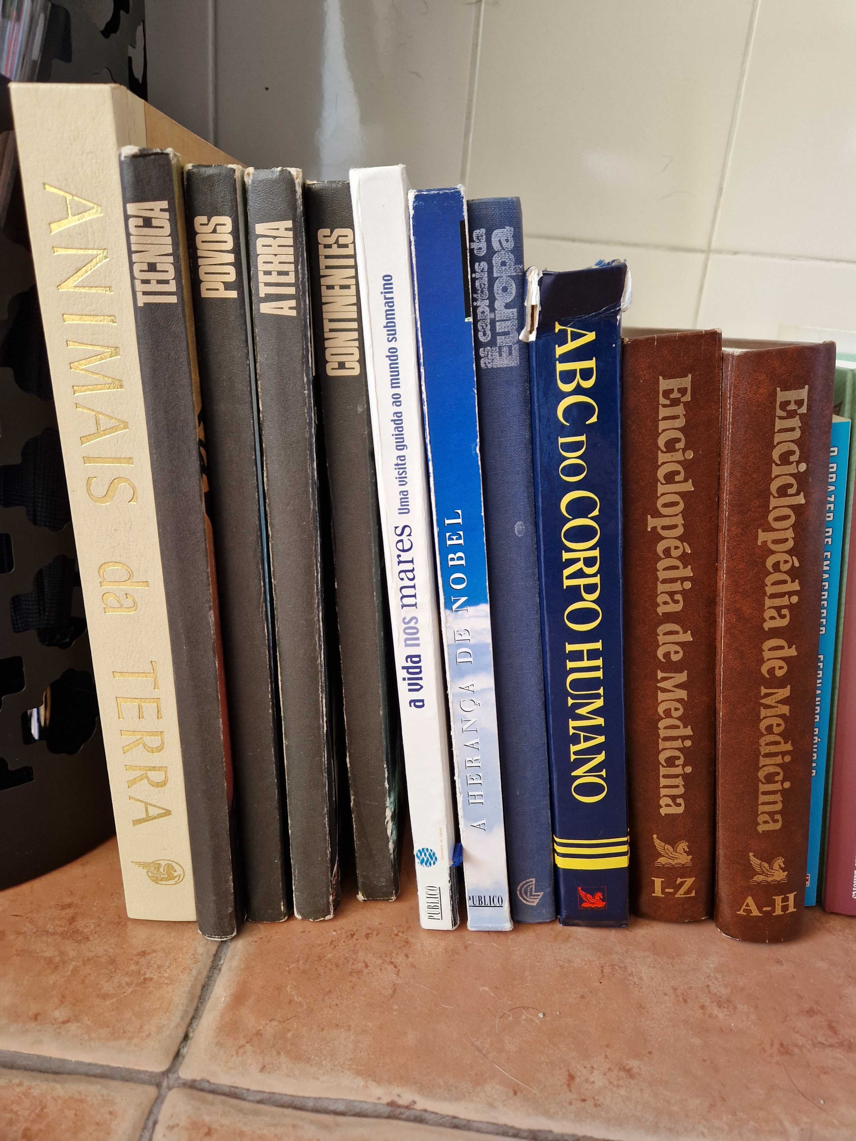 Conjunto de enciclopédias e livros vários