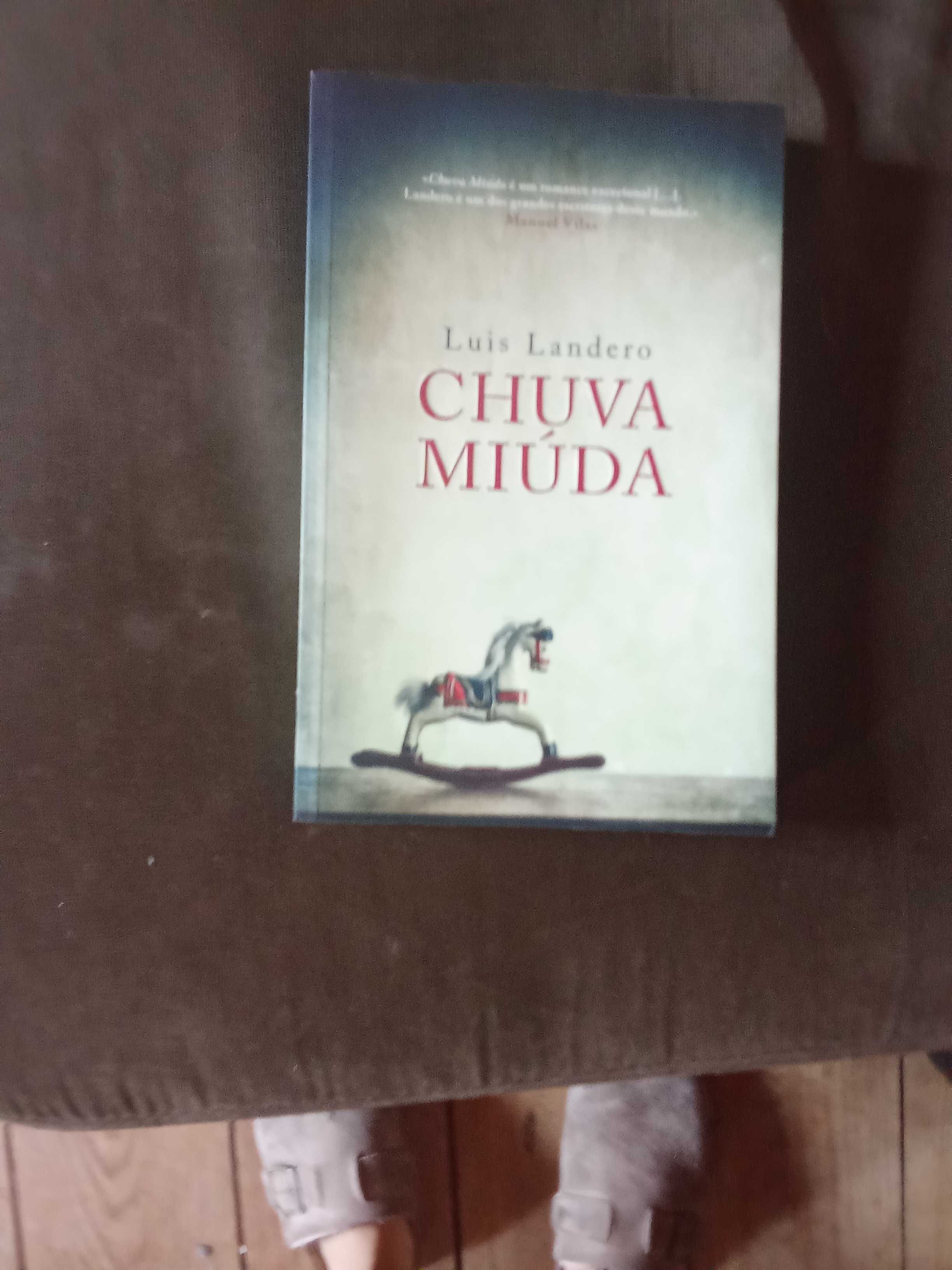 Chuva miúda de  Luís Landero