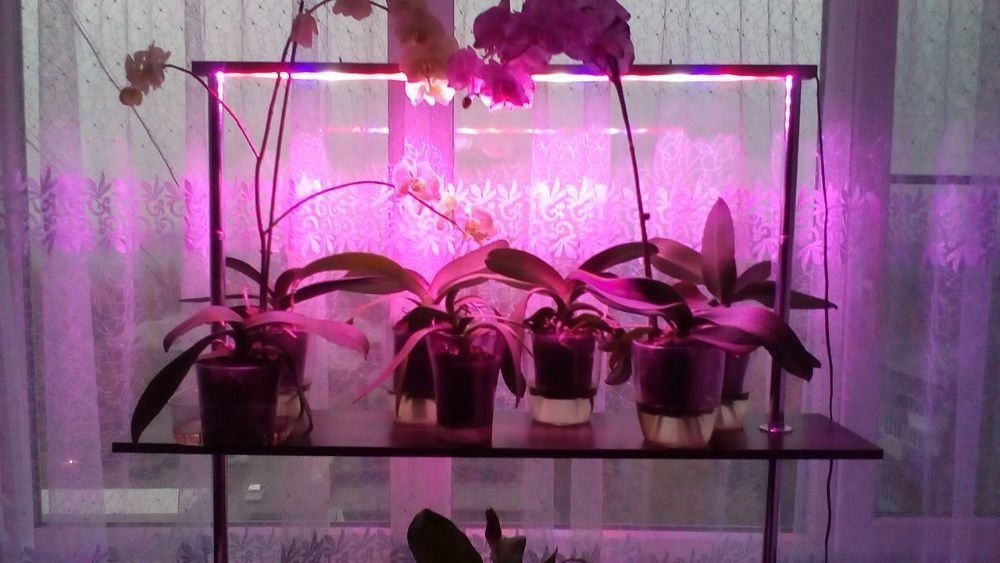 Светодиодный светильник для растений BK - 10 ВТ