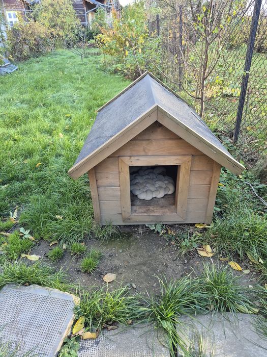 Buda dla psa średniego / dużego