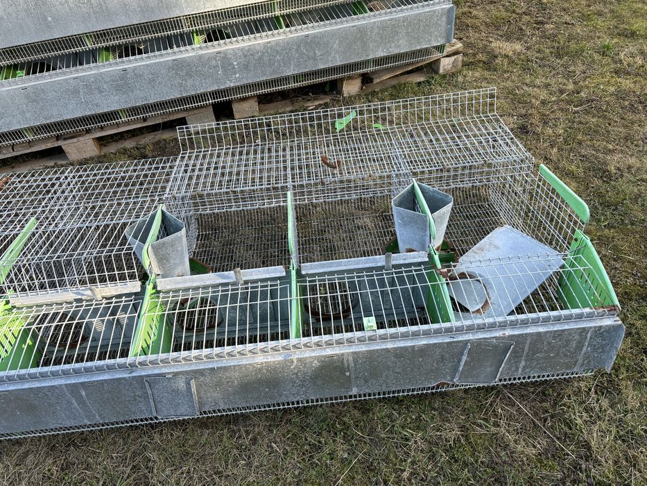 Klatki dla królików