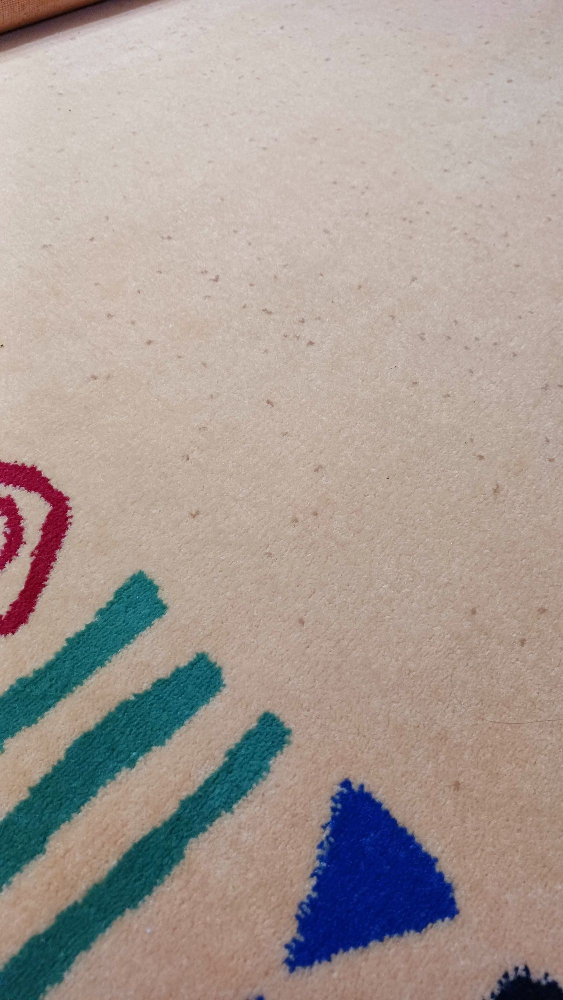 Carpetes como novas