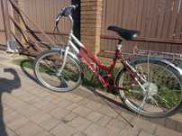Rower damski Victus