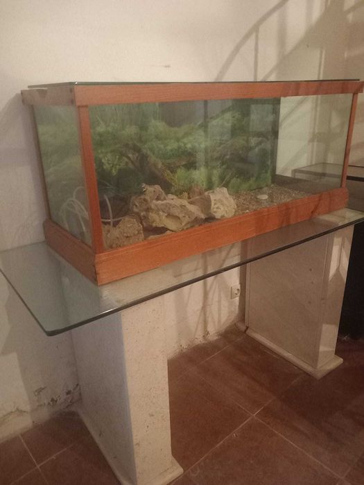 Aquário Grande com Mesa