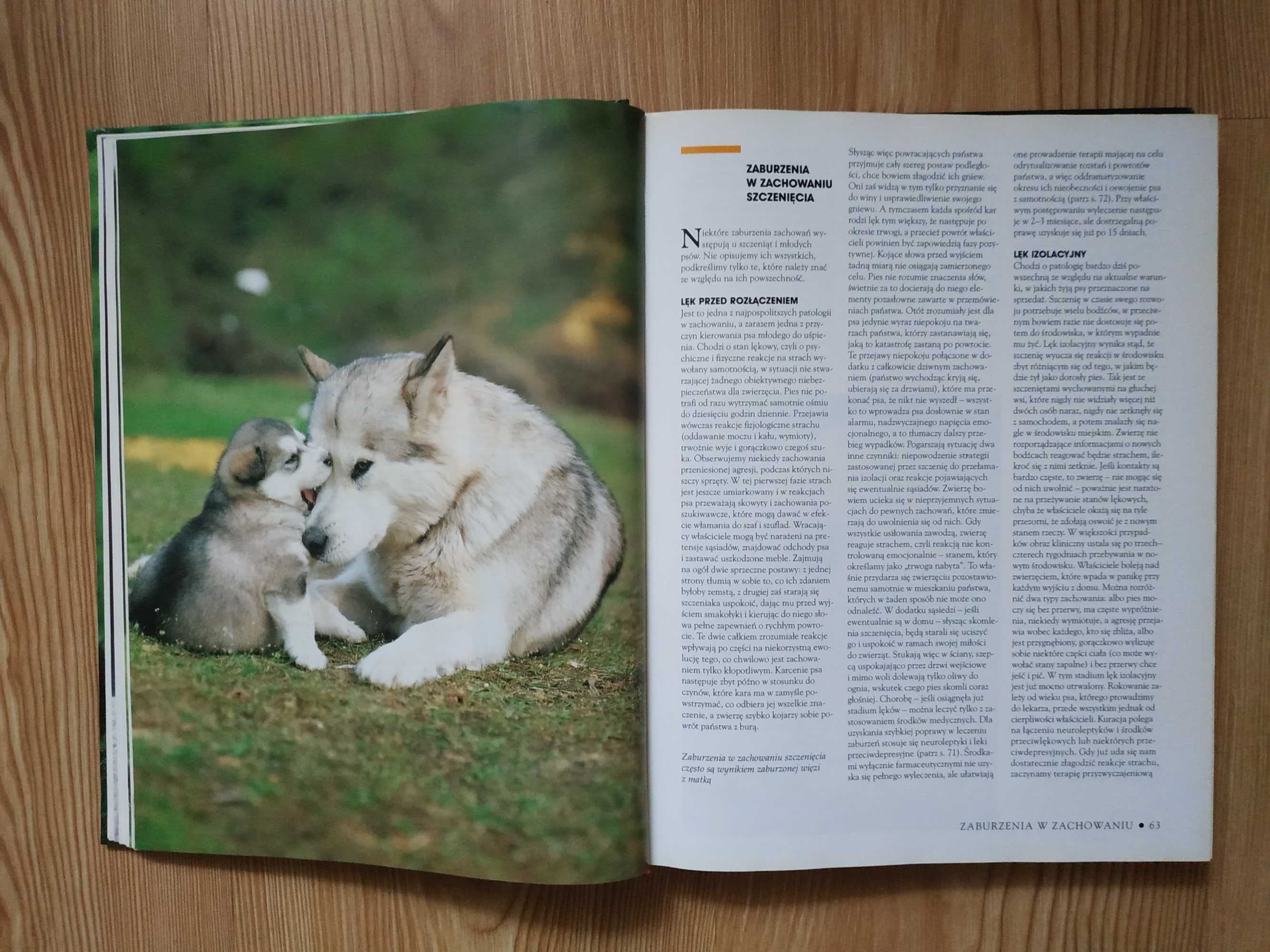 Encyklopedia Pies - Bogaty Przewodnik dla Każdego Miłośnika Psów