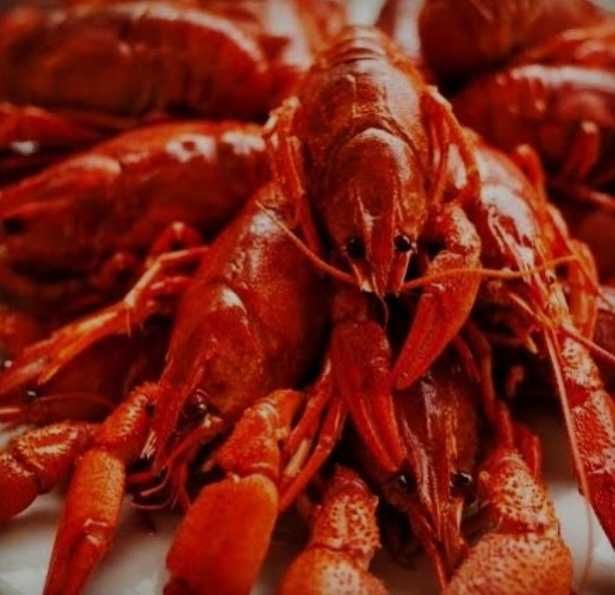 Продам живі раки та вареные