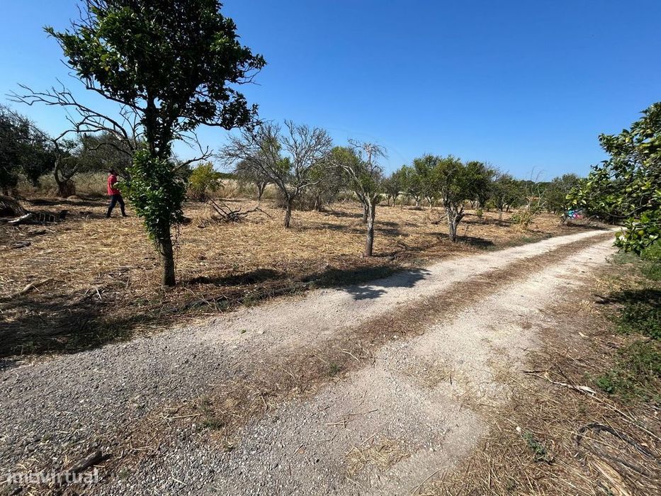 Terreno  para venda