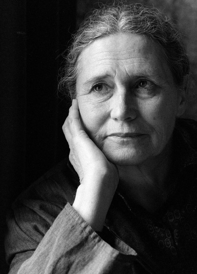 Amar de Novo - Doris Lessing