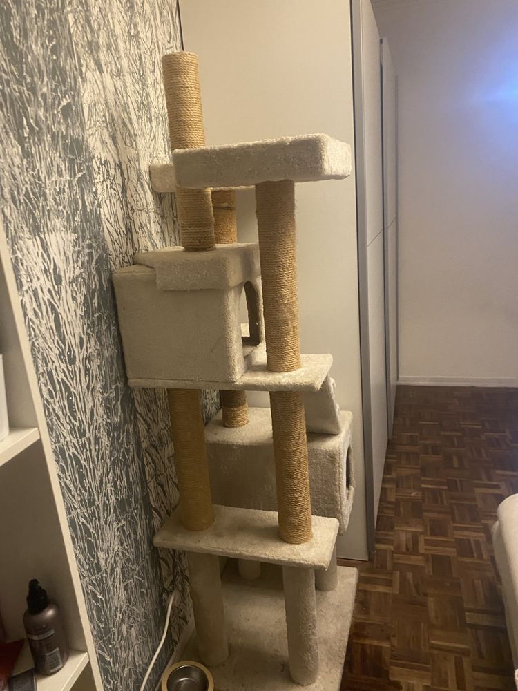 Arvore de gatos com 2 metros