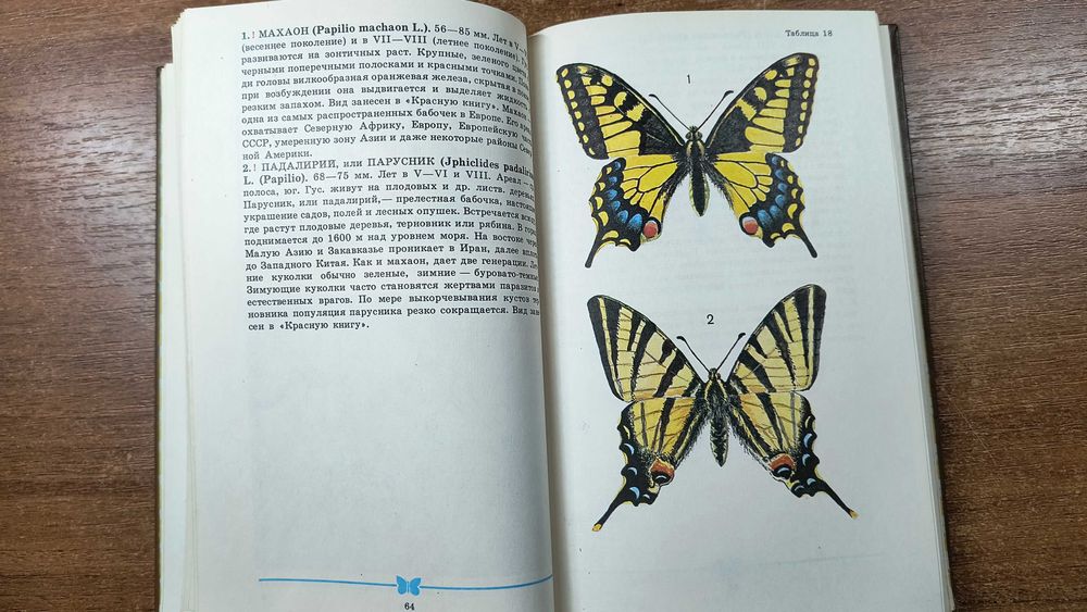 Школьный атлас-определитель бабочек (Корнелио)