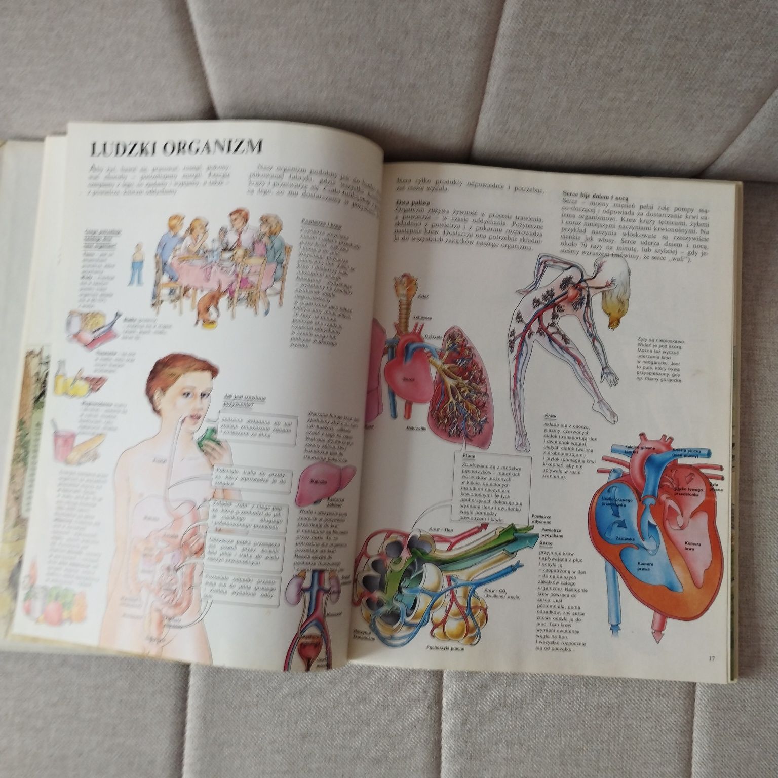 Moja pierwsza encyklopedia - Larousse
