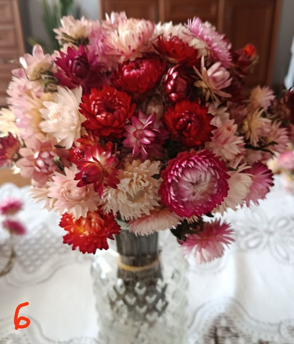 Suszone bukiety kocanki