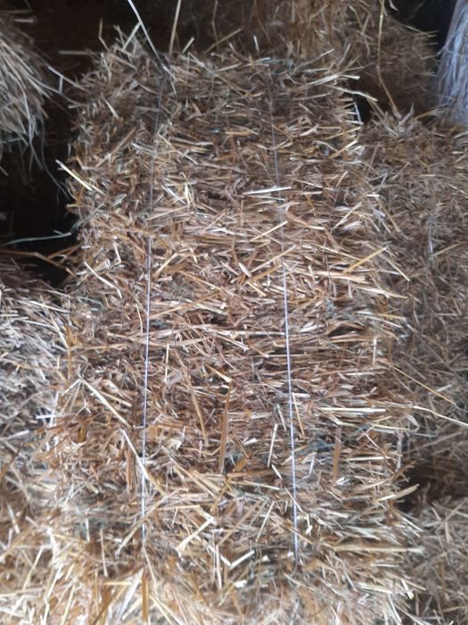 Тюки пшеничної та вівсяної соломи