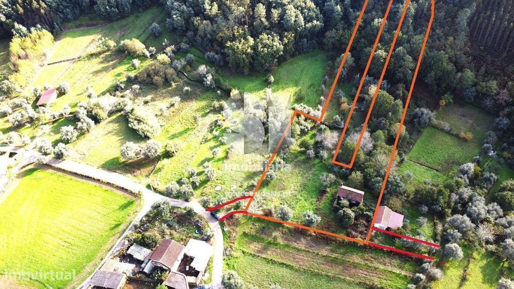 Quintinha em ruinas V.N.Poiares