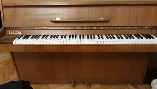 Pianino Calisia M 105 Nokturn