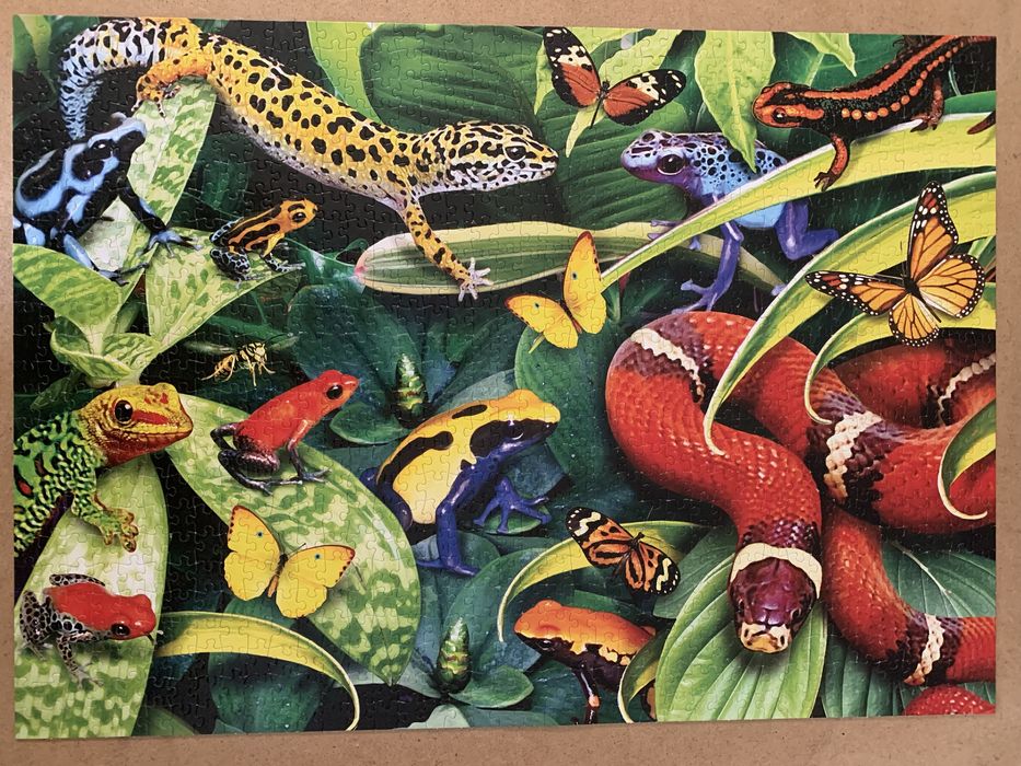 Puzzle Jumbo 1000. Jungle Animals