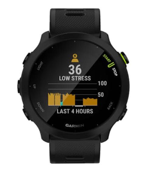 Garmin Forerunner 55 | Azul / Branco / Preto