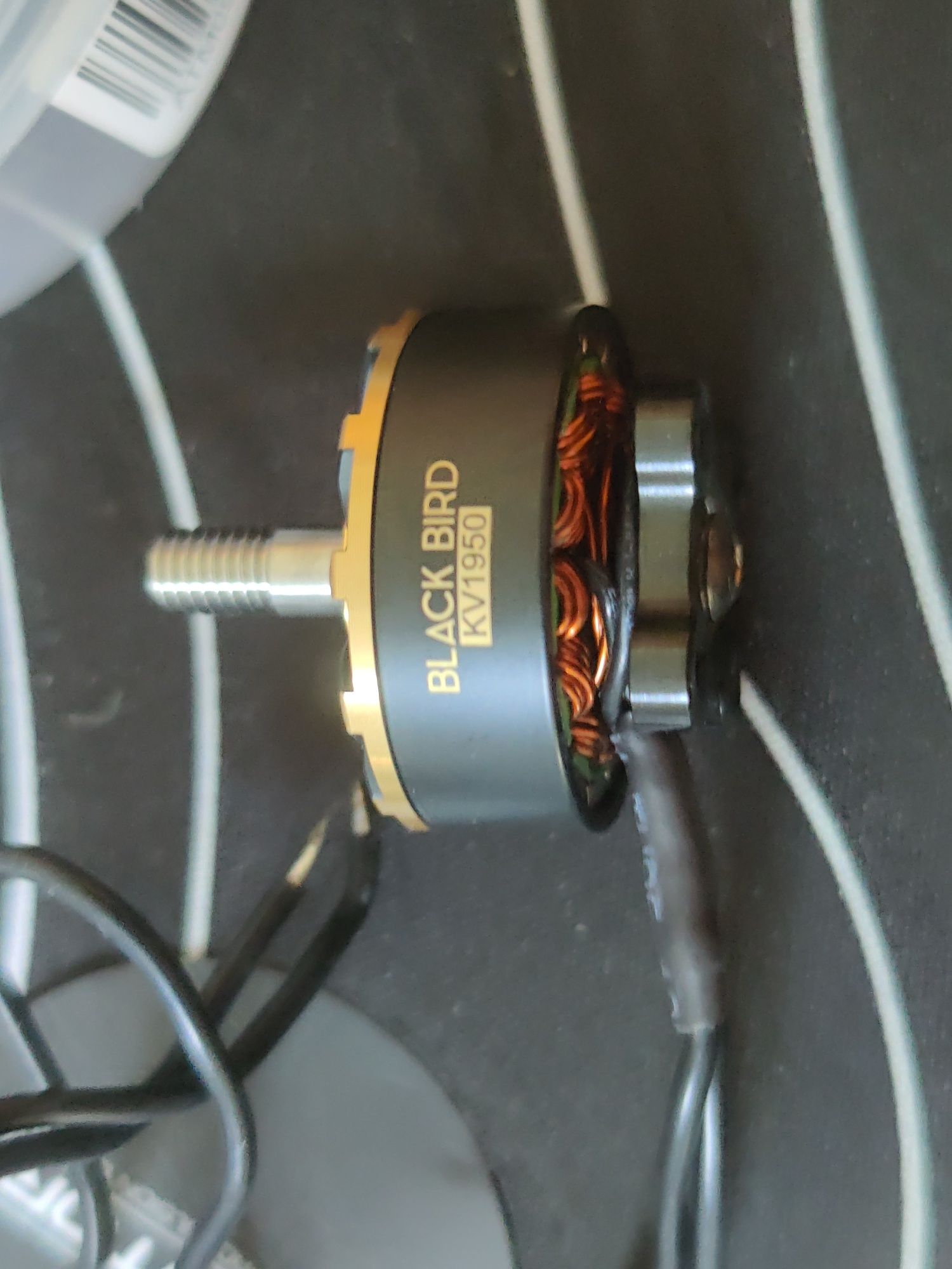 Motor Black Bird 1950Kv V2